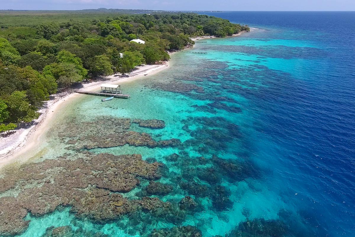 Scuba diving in Utila | ZuBlu