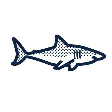 Zu Blu Icons Great White Shark