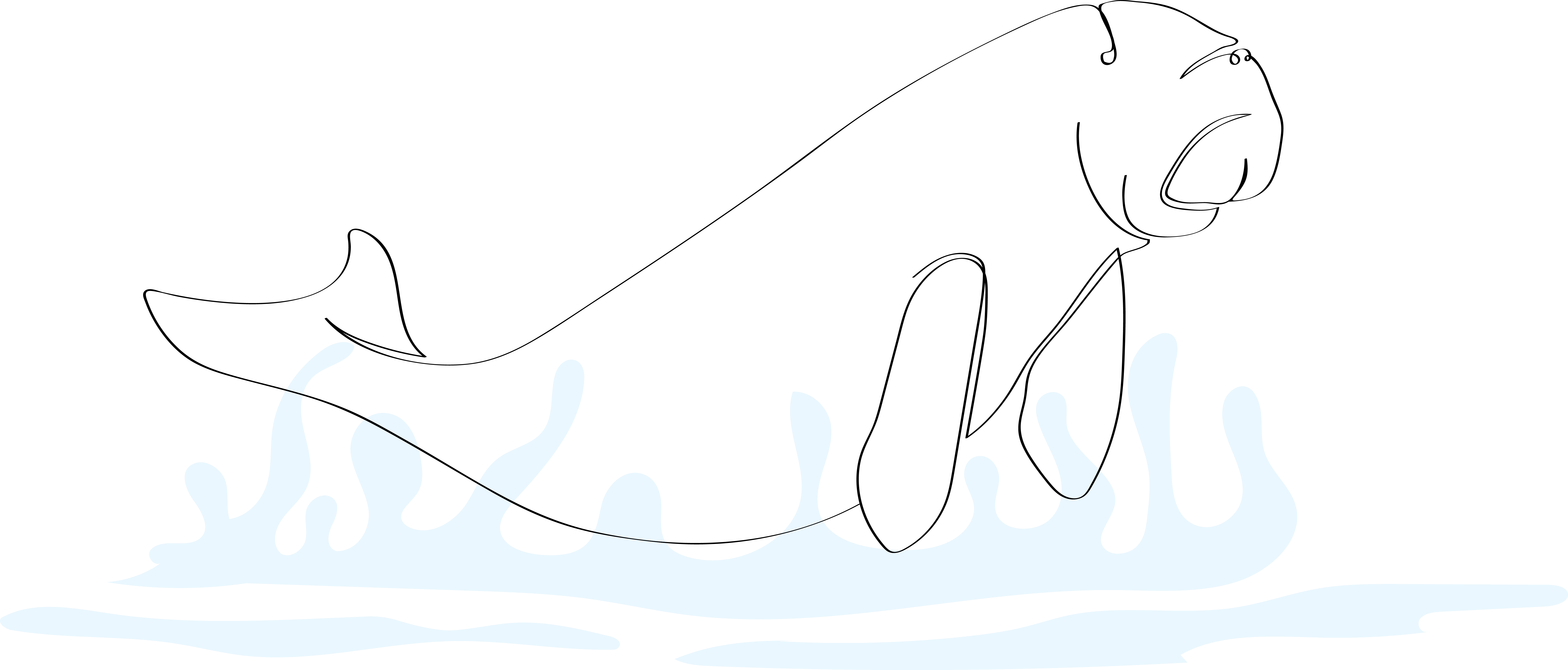 Dugong