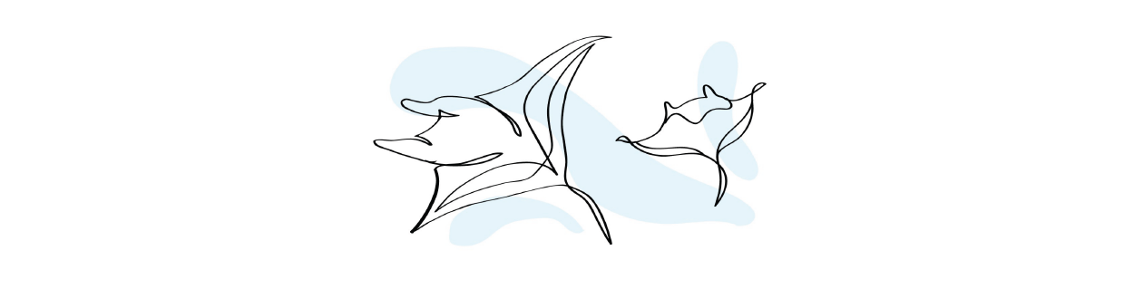 Manta Ray Banner 01