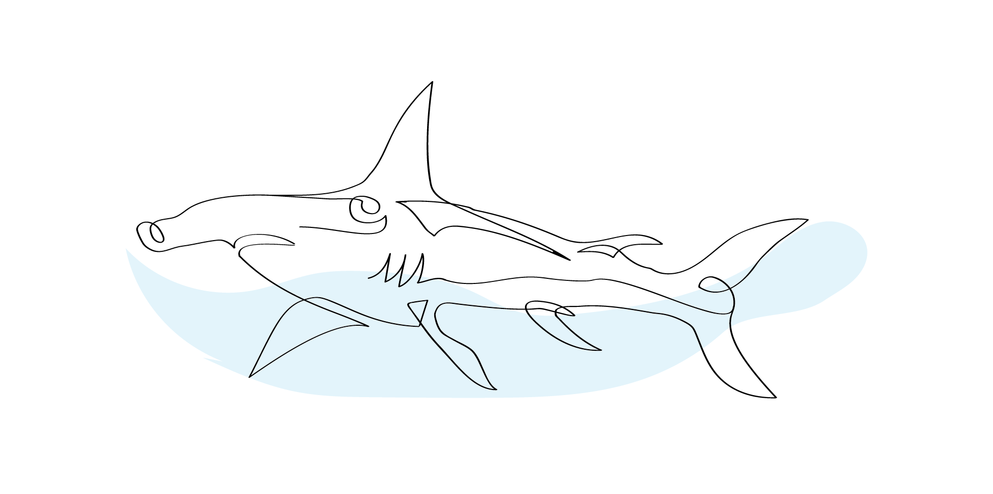 Zublu Illustrations Hammerhead 1