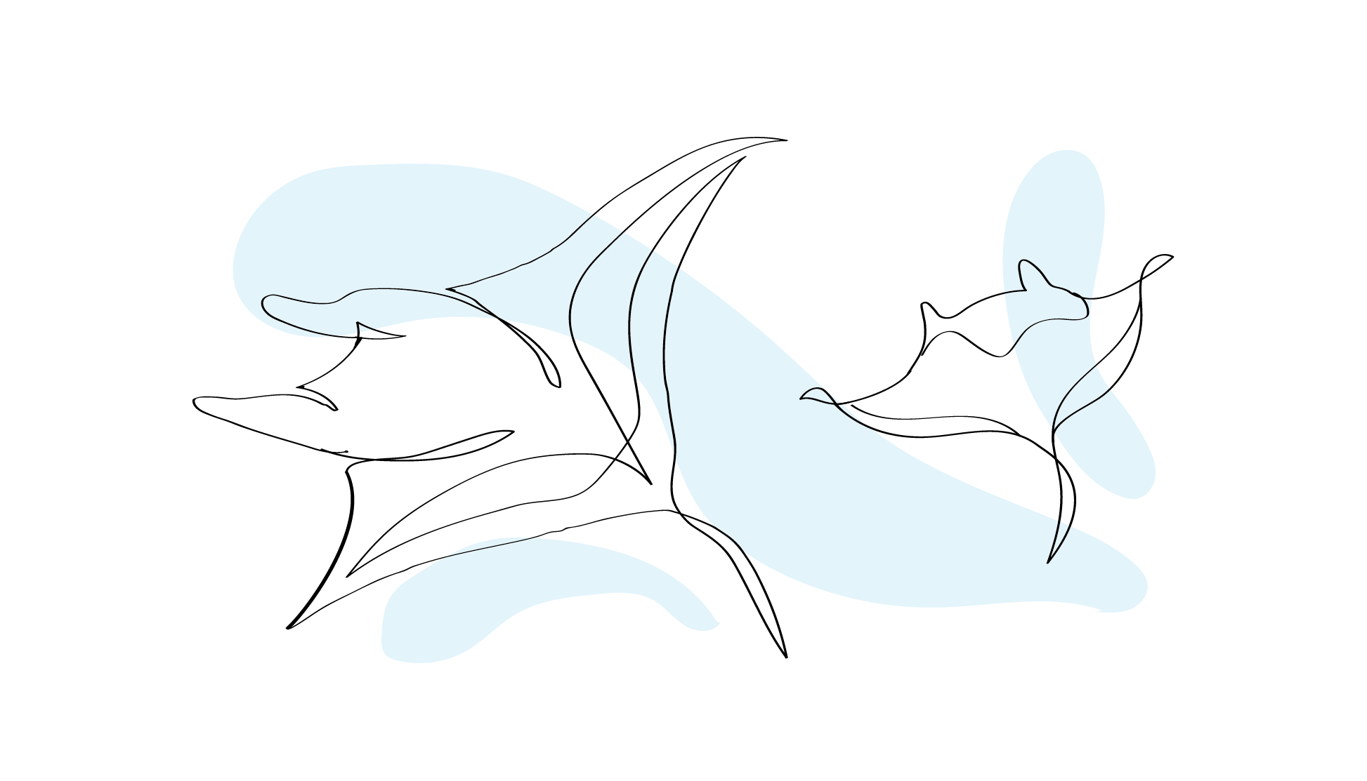 Zublu Illustrations Mantas 1