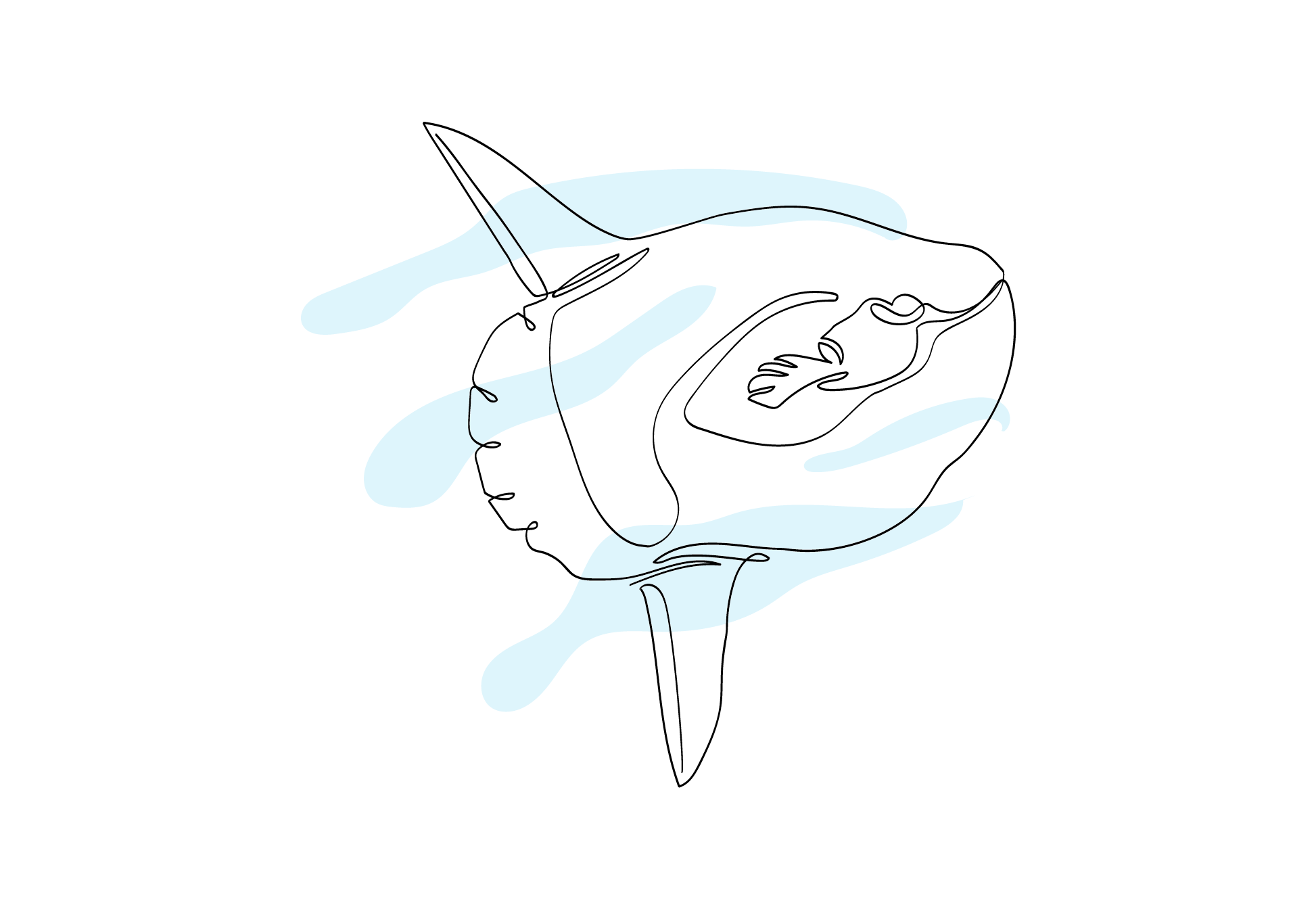 Zublu Illustrations Mola Mola