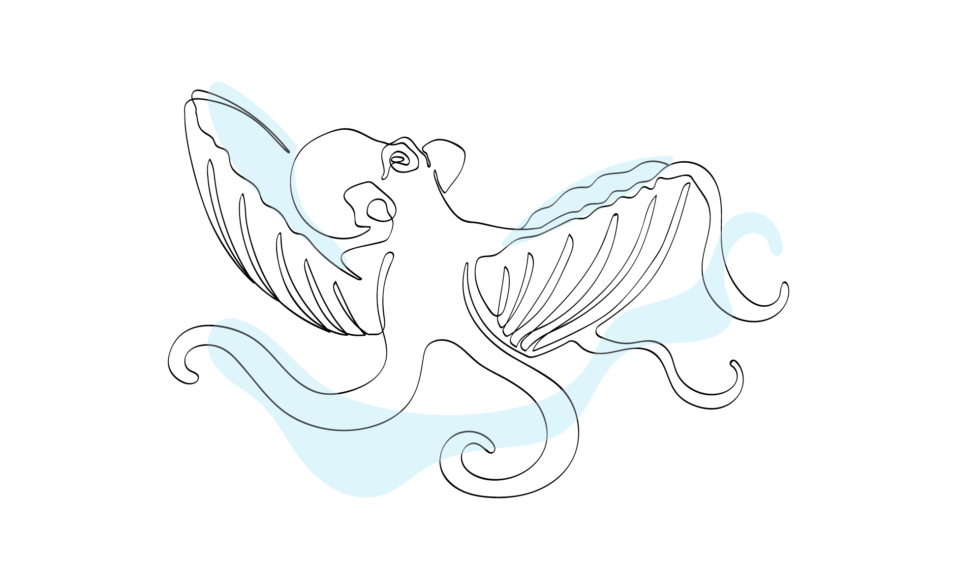 Zublu Illustrations Octopus Shell
