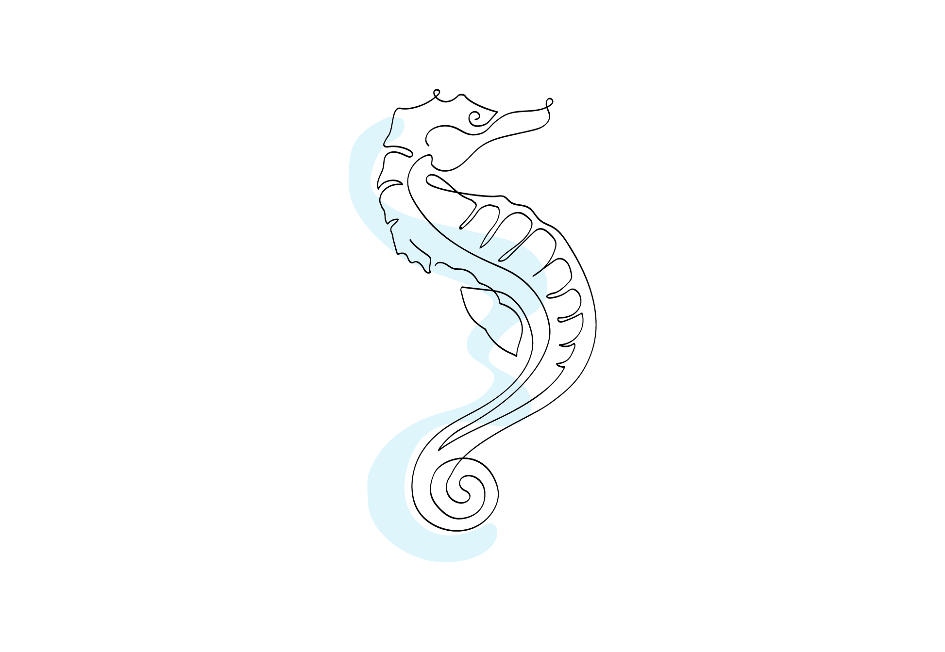 Zublu Illustrations Seahorse