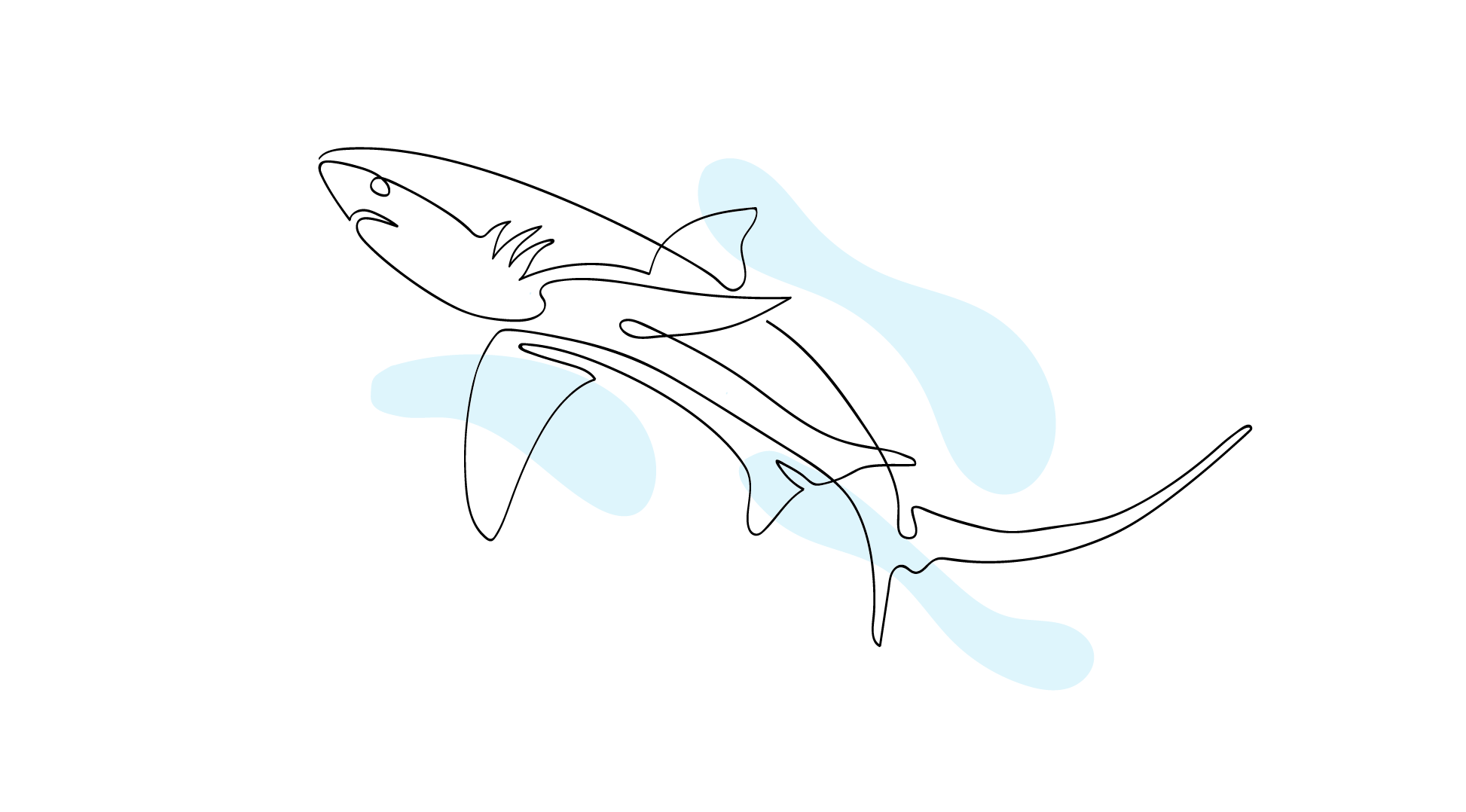 Zublu Illustrations Thresher Shark