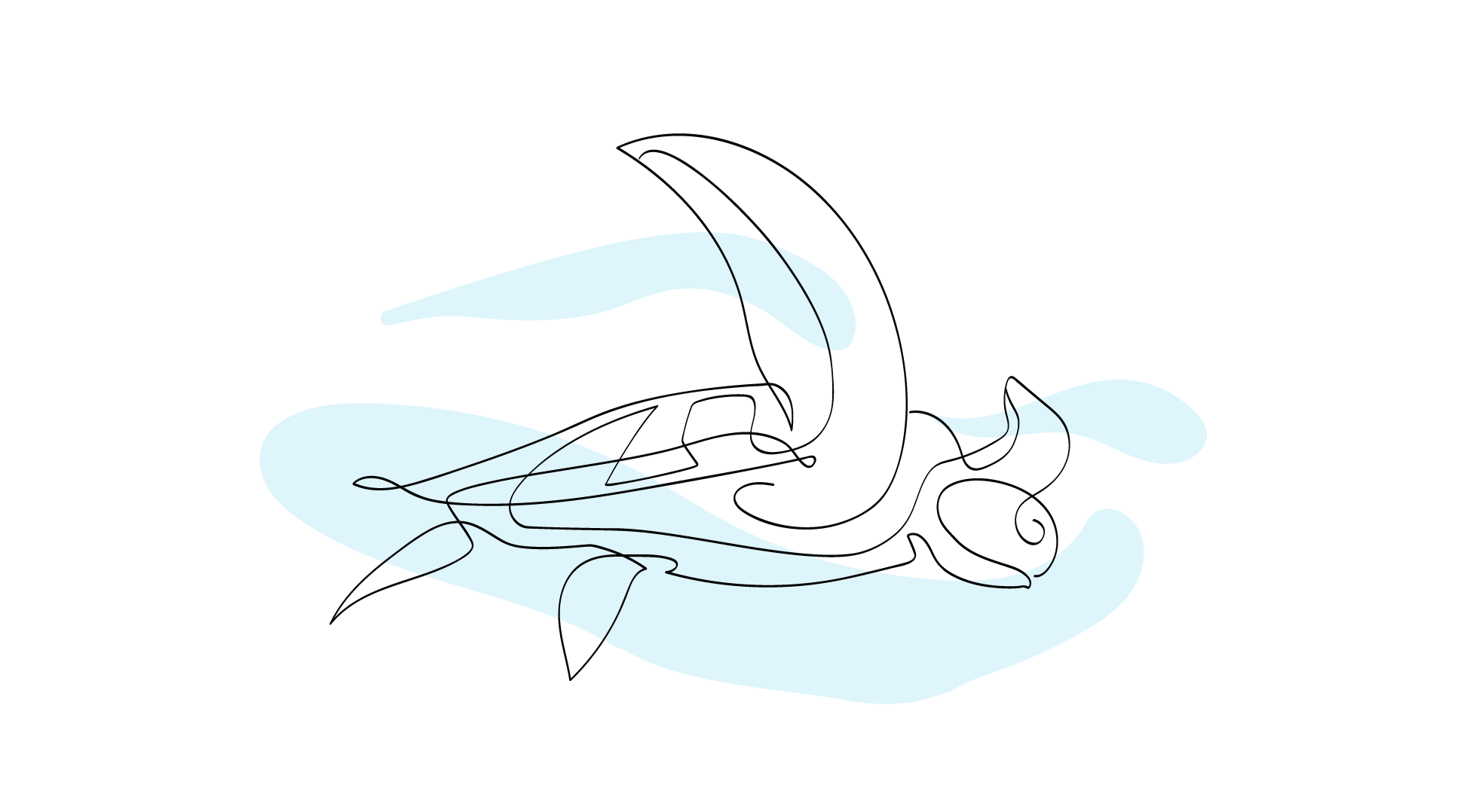 Zublu Illustrations Turtle 1