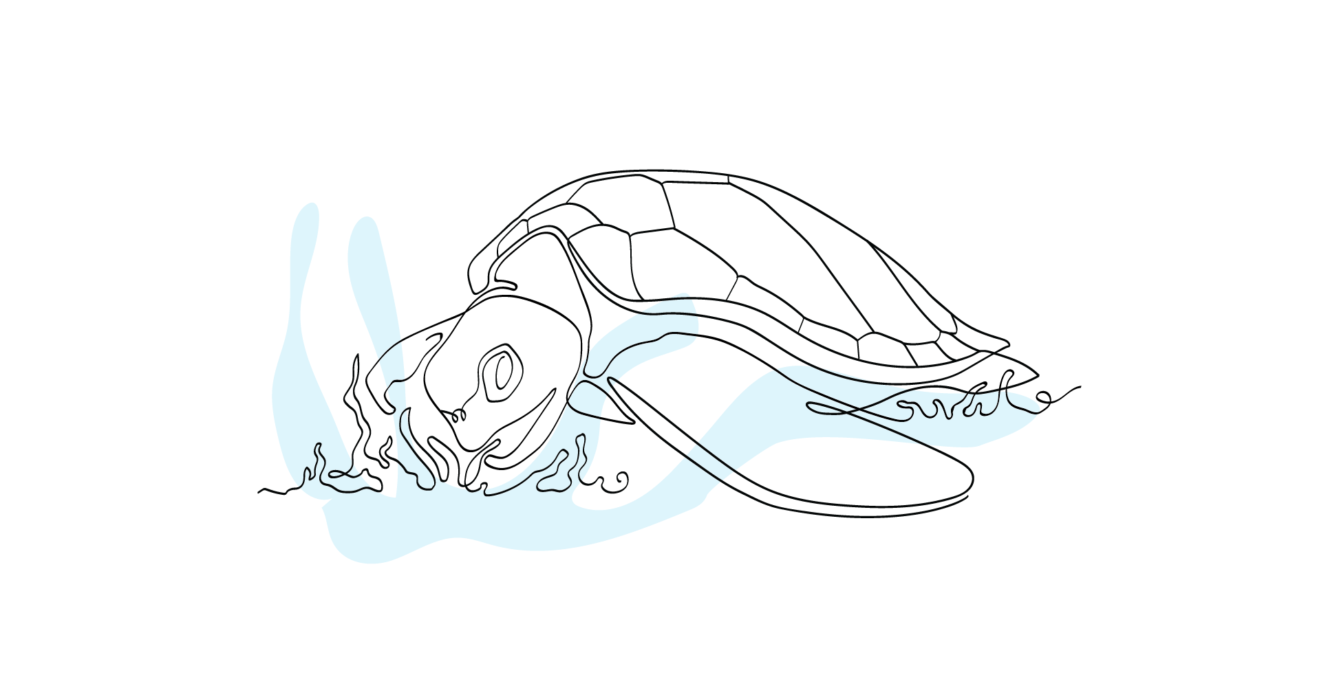 Zublu Illustrations Turtle Feeding