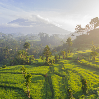 Immerse yourself in Bali’s unique landscapes Image