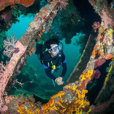 Explore the Liberty wreck at Tulamben Image