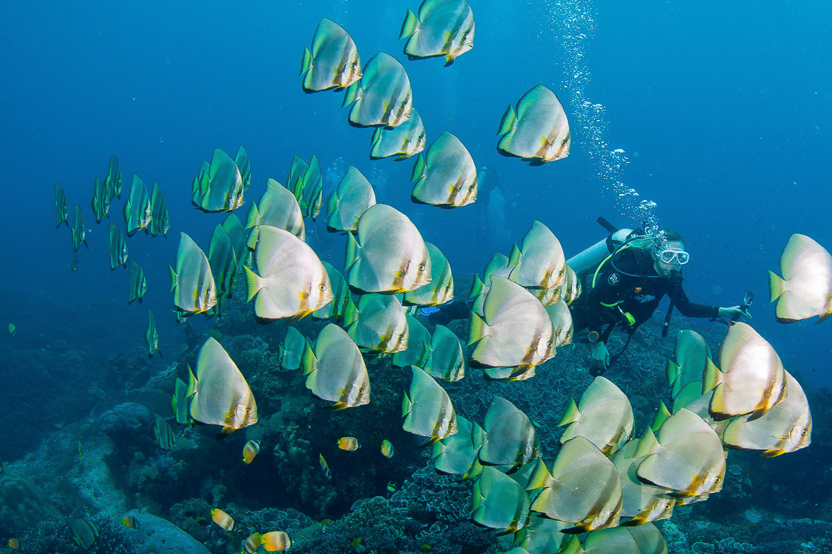 Lembongan Penida Diving 3
