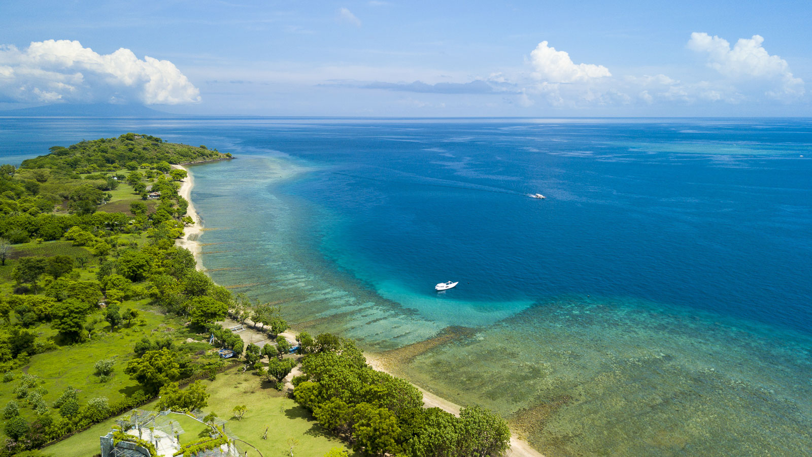 Discover Menjangan Island’s best diving