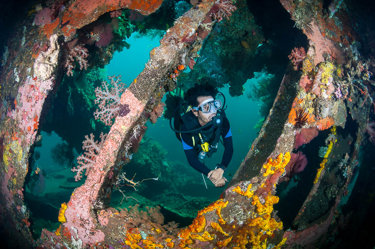 Tulamben Bali Indonesia Diving Liberty