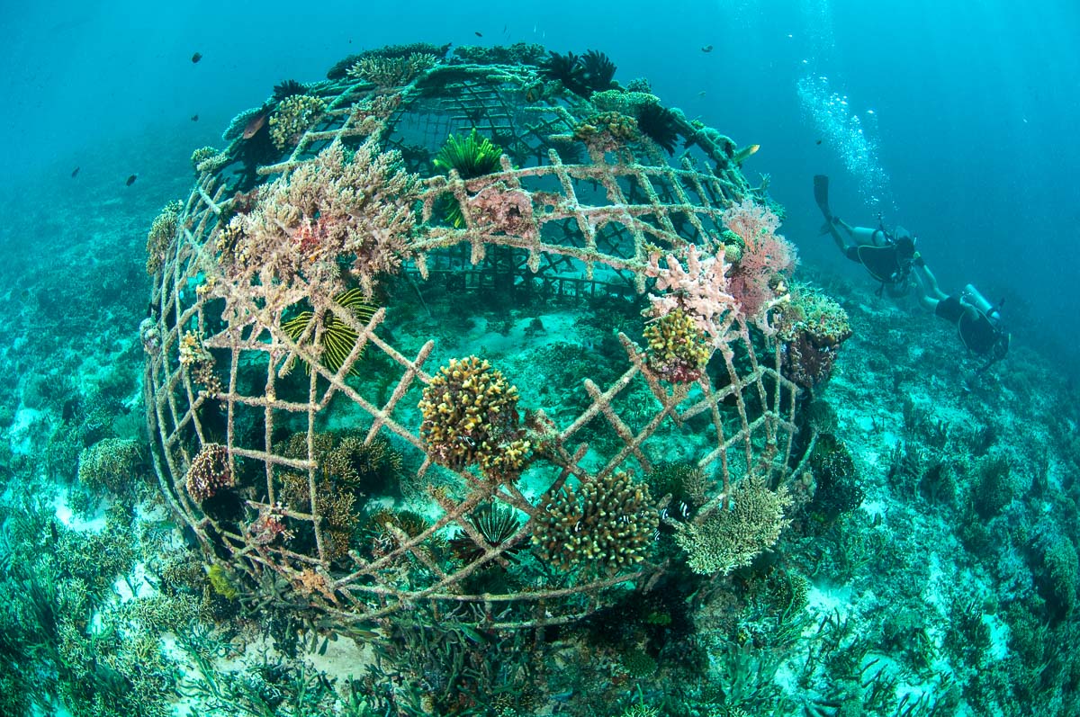 Gili Islands Scuba Diving Trawangan Air Lombok 7