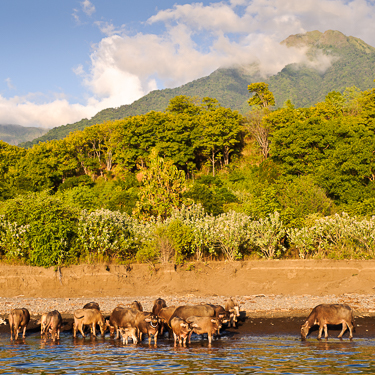 Explore the volcanic slopes of Sangeang and Banta Islands Image