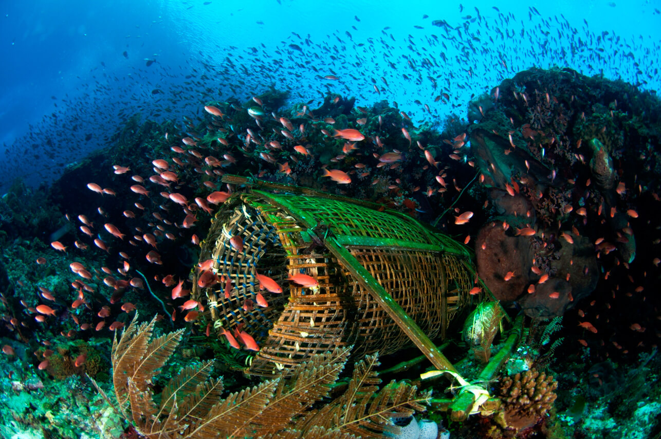 Traditional bamboo fish trap in Alor
