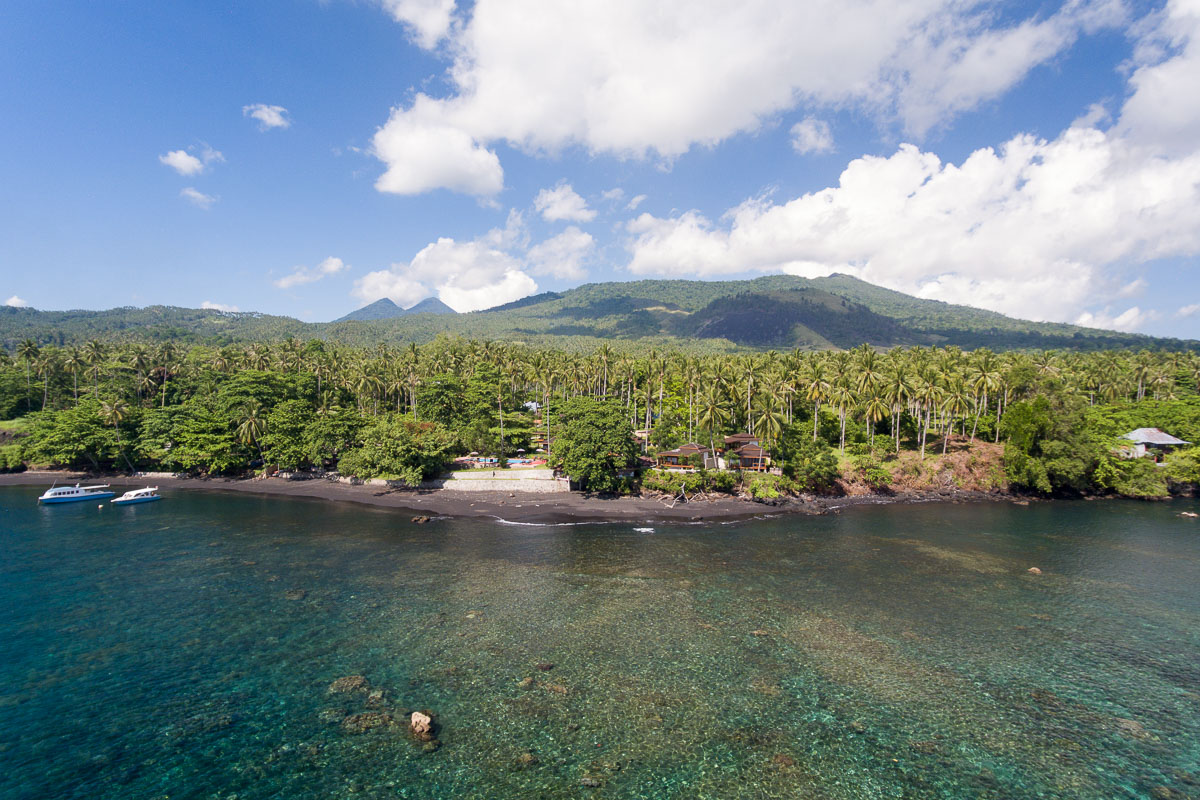 Dive Into Lembeh Sulawesi Indonesia 5