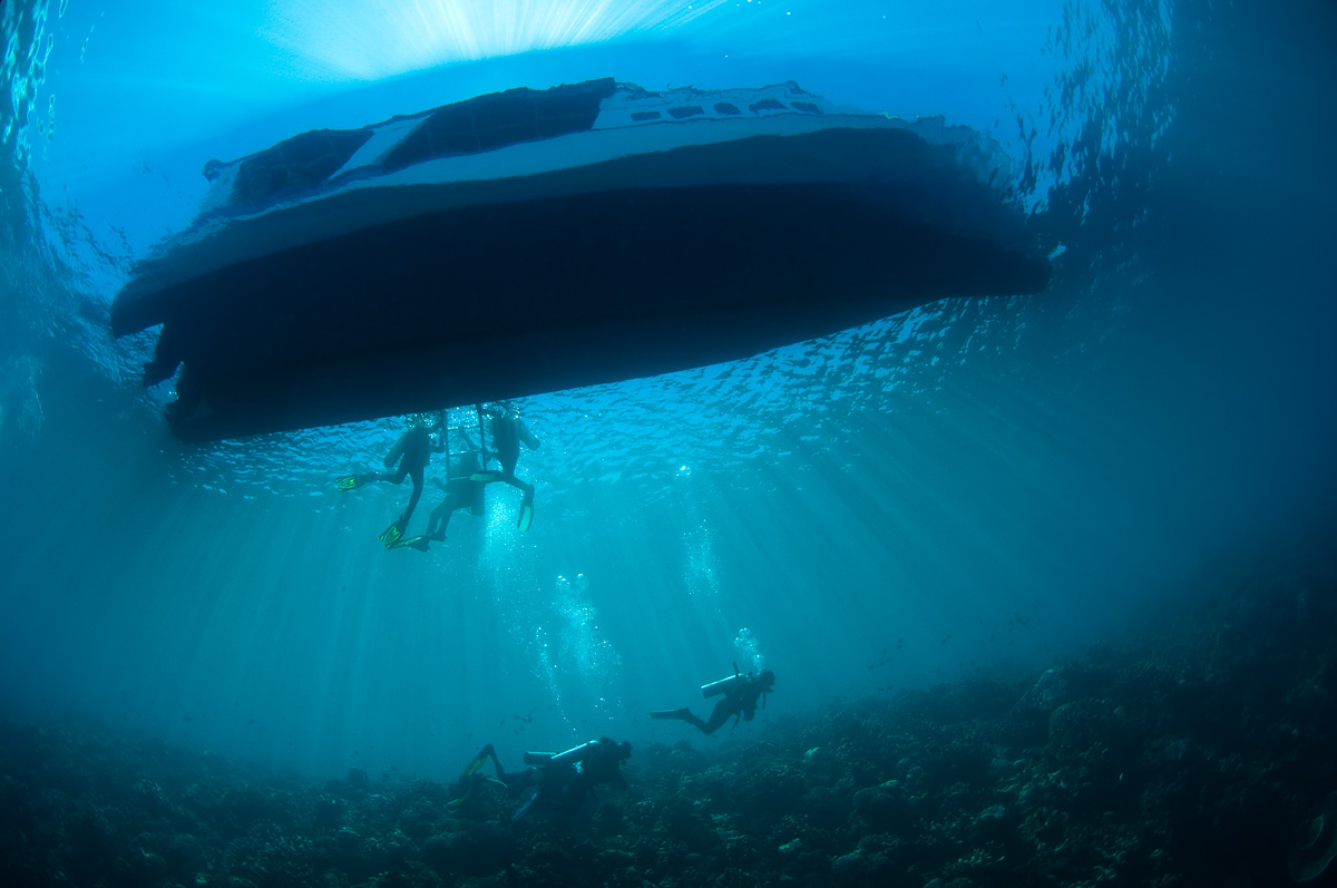 Bunaken Sulawesi Indonesia Scuba Diving 3