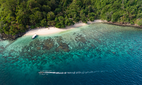 https://www.zubludiving.com/images/Indonesia/Sulawesi/Murex-Bangka/Murex-Bangka-Sulawesi-Indonesia-Thumb.jpg