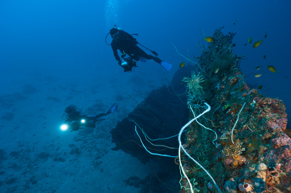 Cenderawasih Bay Papua Indonesia Diving 9