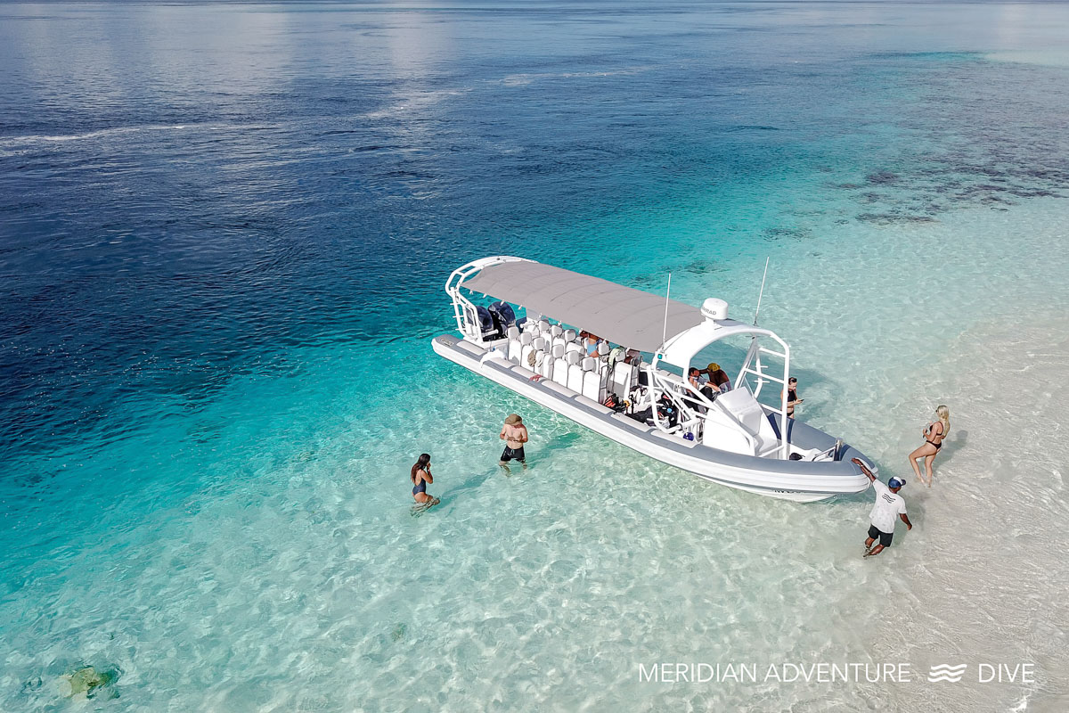 Meridian Adventure Dive Raja Ampat 9