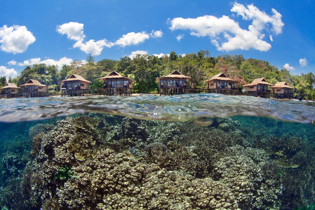Papua Paradise Raja Ampat Indonesia 4
