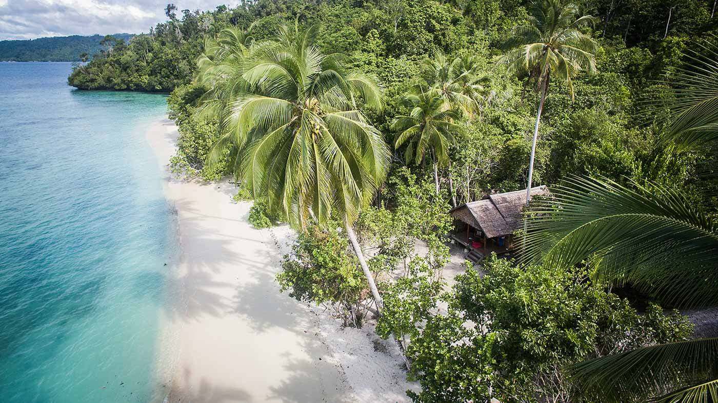Raja Ampat Biodiversity Banner 02
