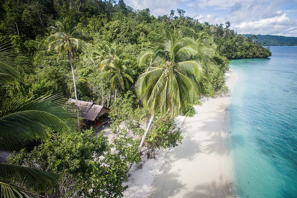 Raja Ampat Biodiversity Resort Indonesia 6