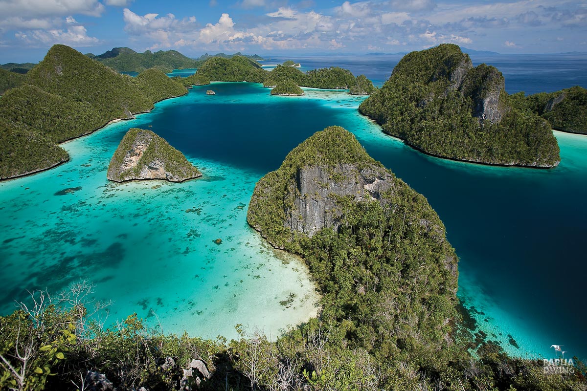 Sorido Bay Raja Ampat Indonesia 7