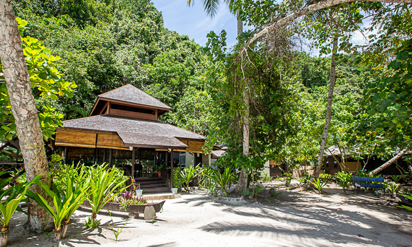 Triton Bay Divers deliver comfortable, eco-conscious scuba vacations in the remote waters of West Papua.