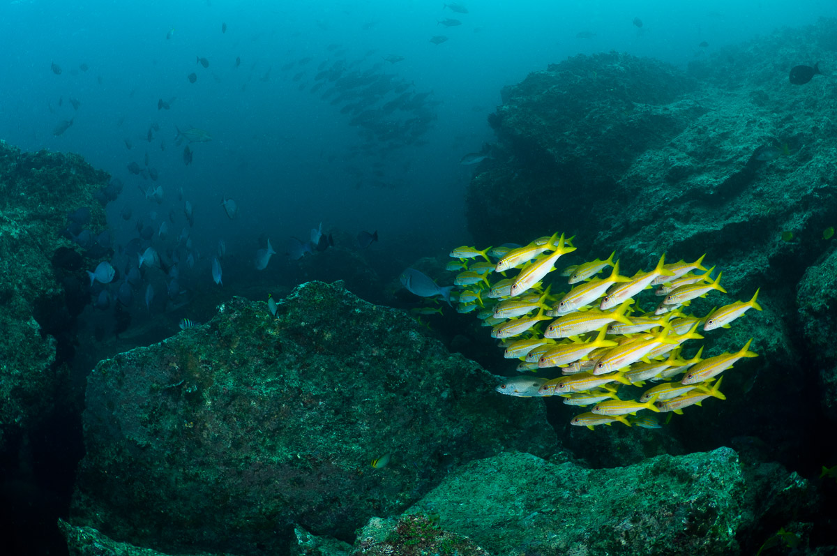 Triton Bay West Papua Indonesia 3