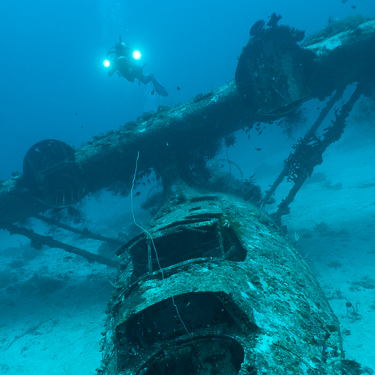 Discover WWII wrecks in Manokwari and Biak Image