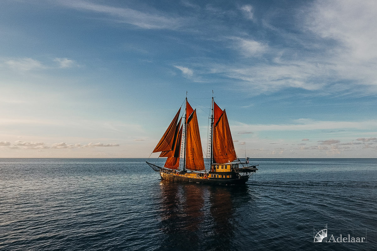 Adelaar Liveaboard Indonesia 21