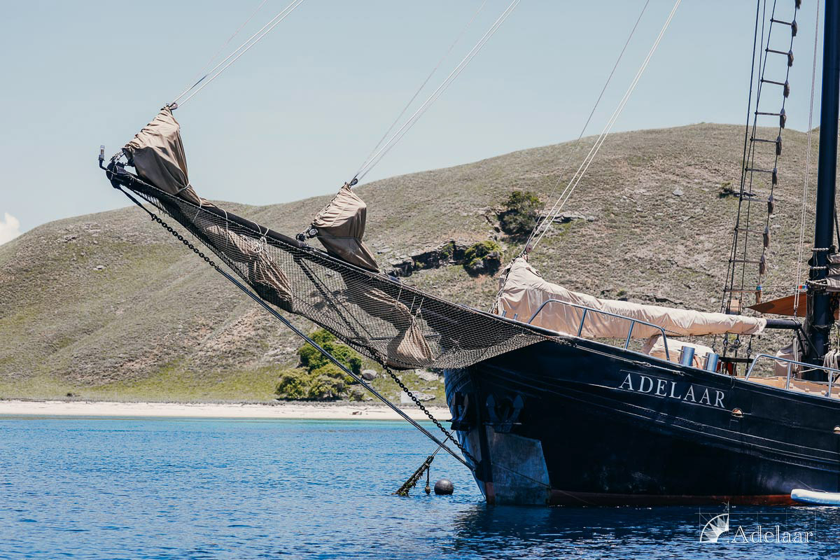 Adelaar Liveaboard Indonesia 22