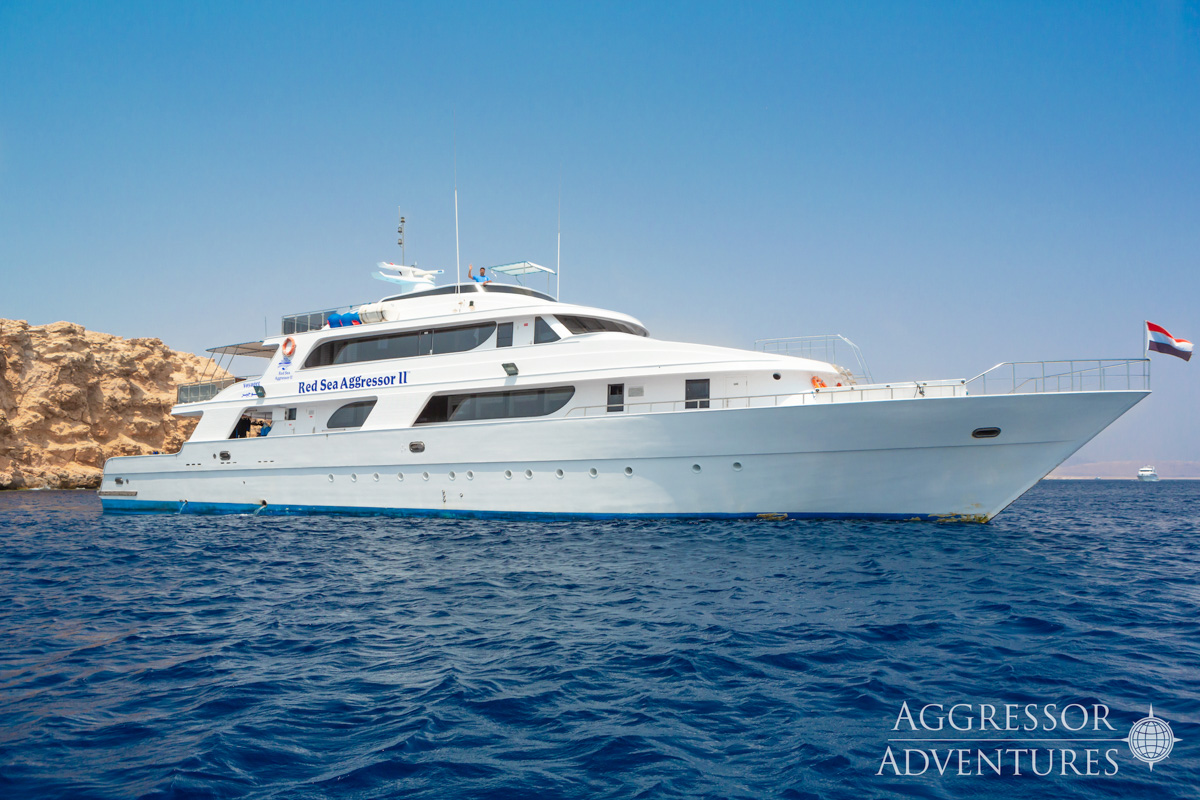 Red Sea Aggressor Ii 13