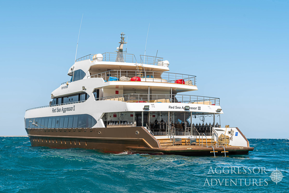 Red Sea Aggressor Iii 16