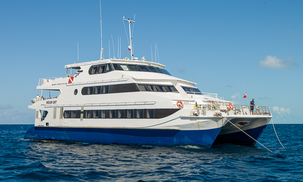All Star Aqua Cat, Bahamas Liveaboard