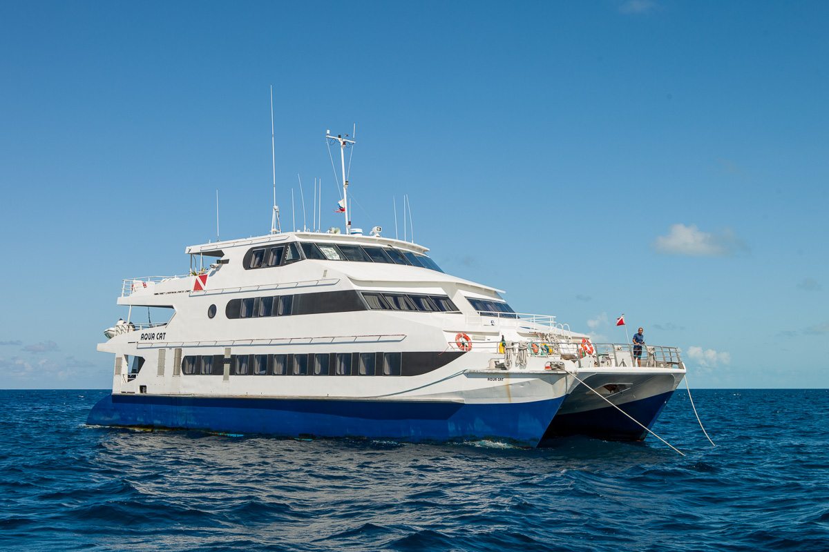 All Star Aqua Cat Liveaboard Bahamas