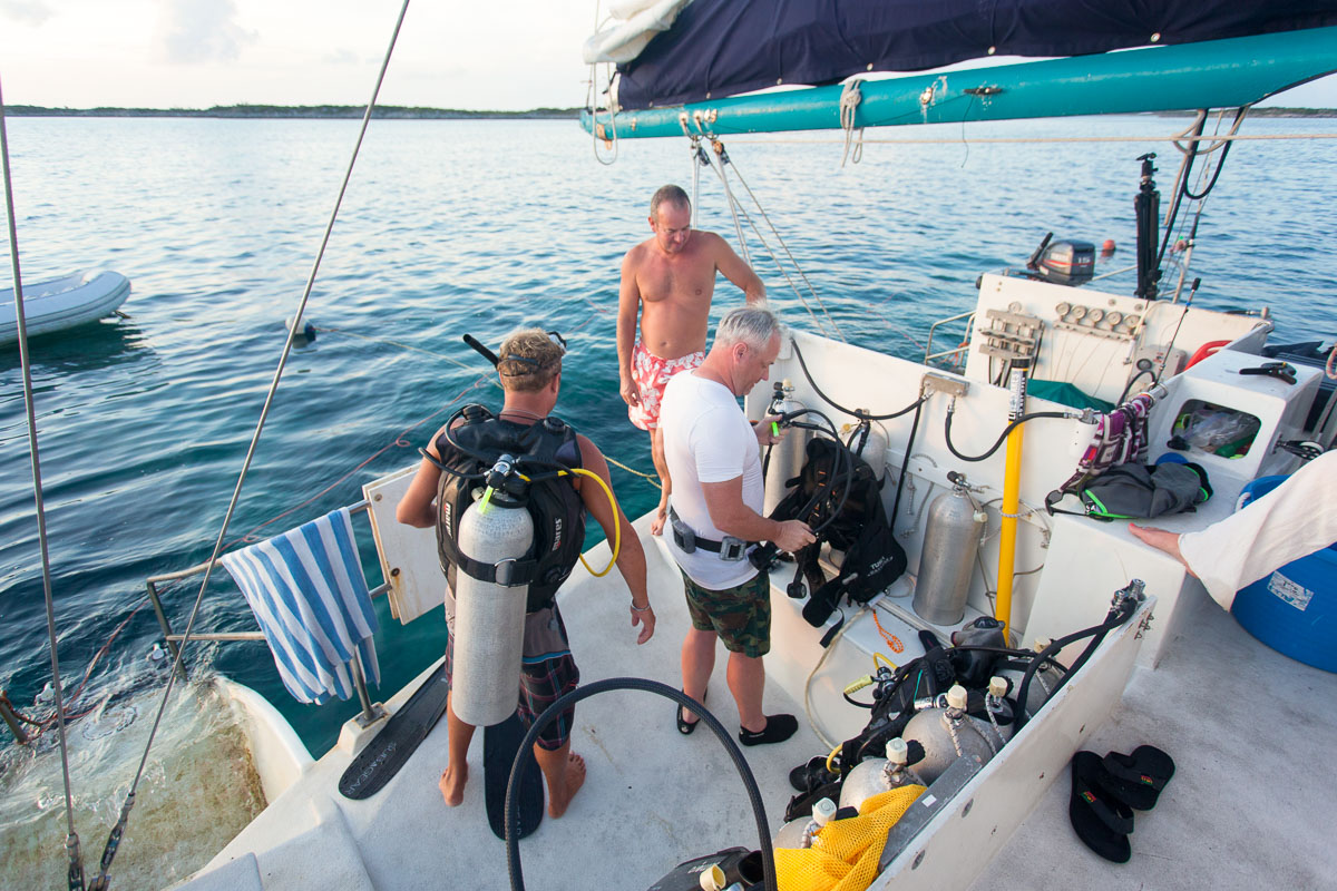 All Star Cat Ppalu Liveaboard Bahamas 13