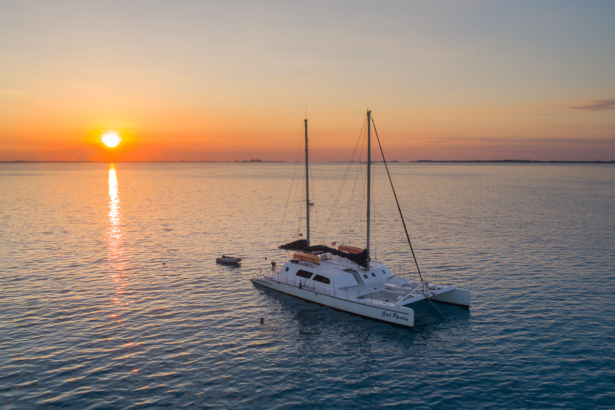 All Star Cat Ppalu Liveaboard Bahamas 15