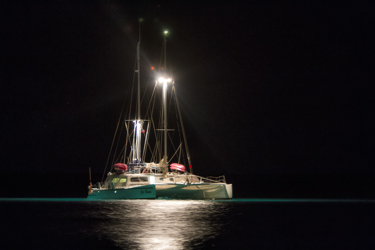 All Star Cat Ppalu Liveaboard Bahamas 7