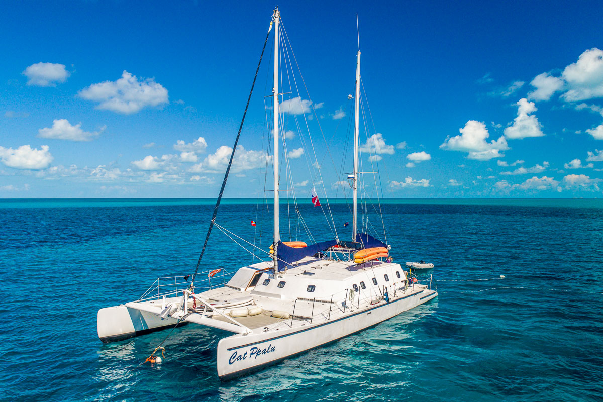 ppalu catamaran for sale