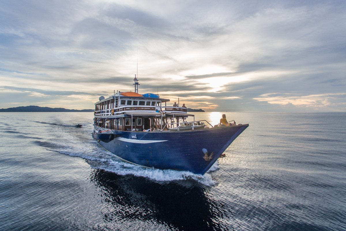 Ambai Liveaboard Indonesia 15