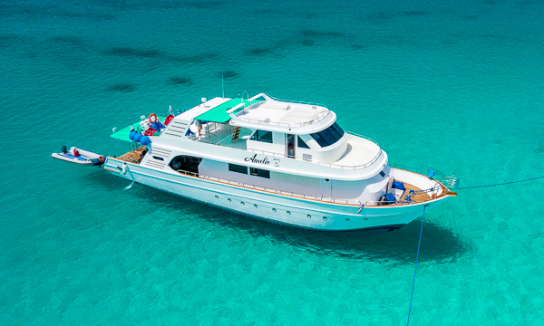 Amelie Red Sea Liveaboard