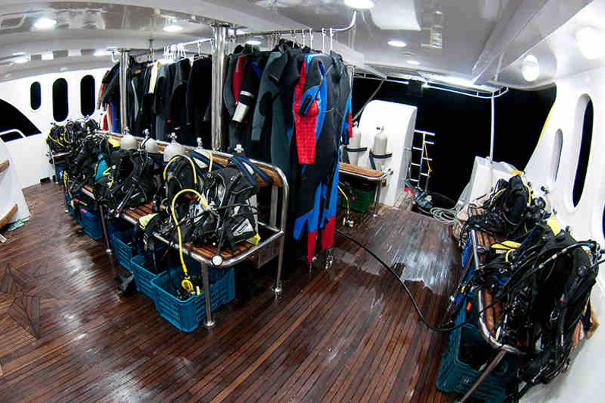 Andromeda Liveaboard 13