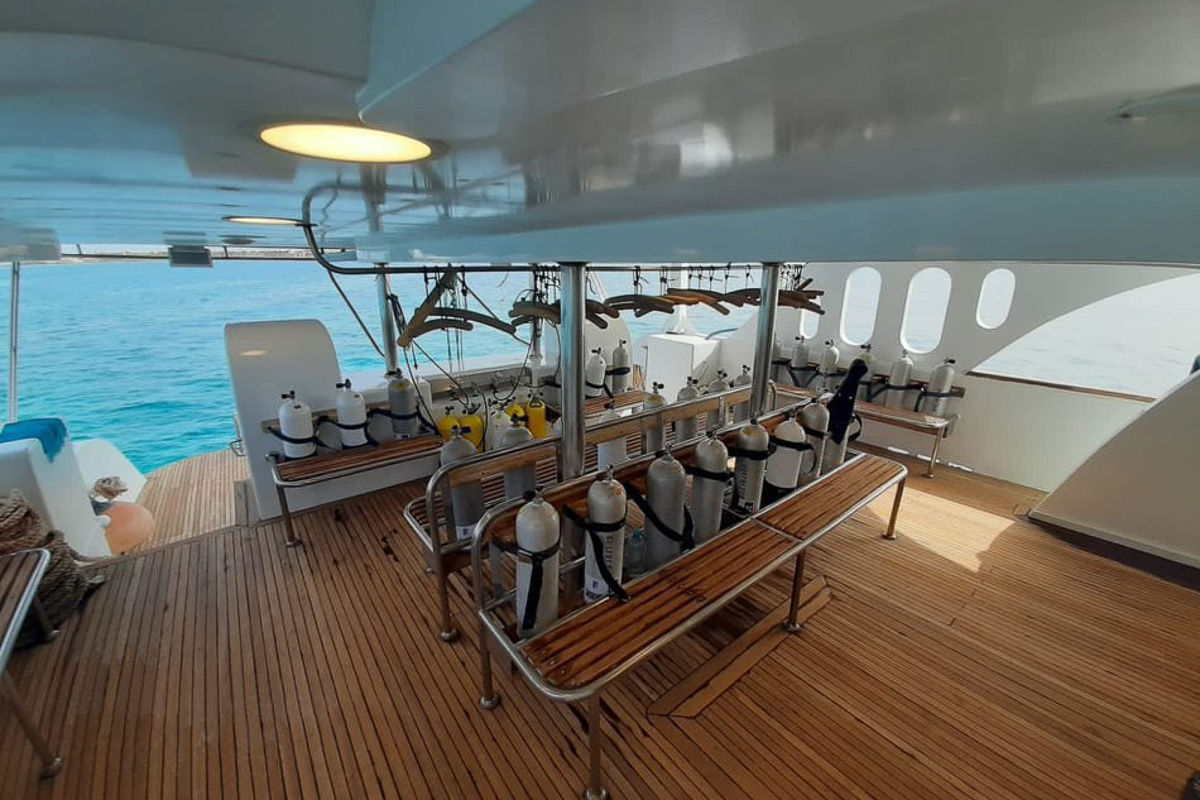 Andromeda Liveaboard 15