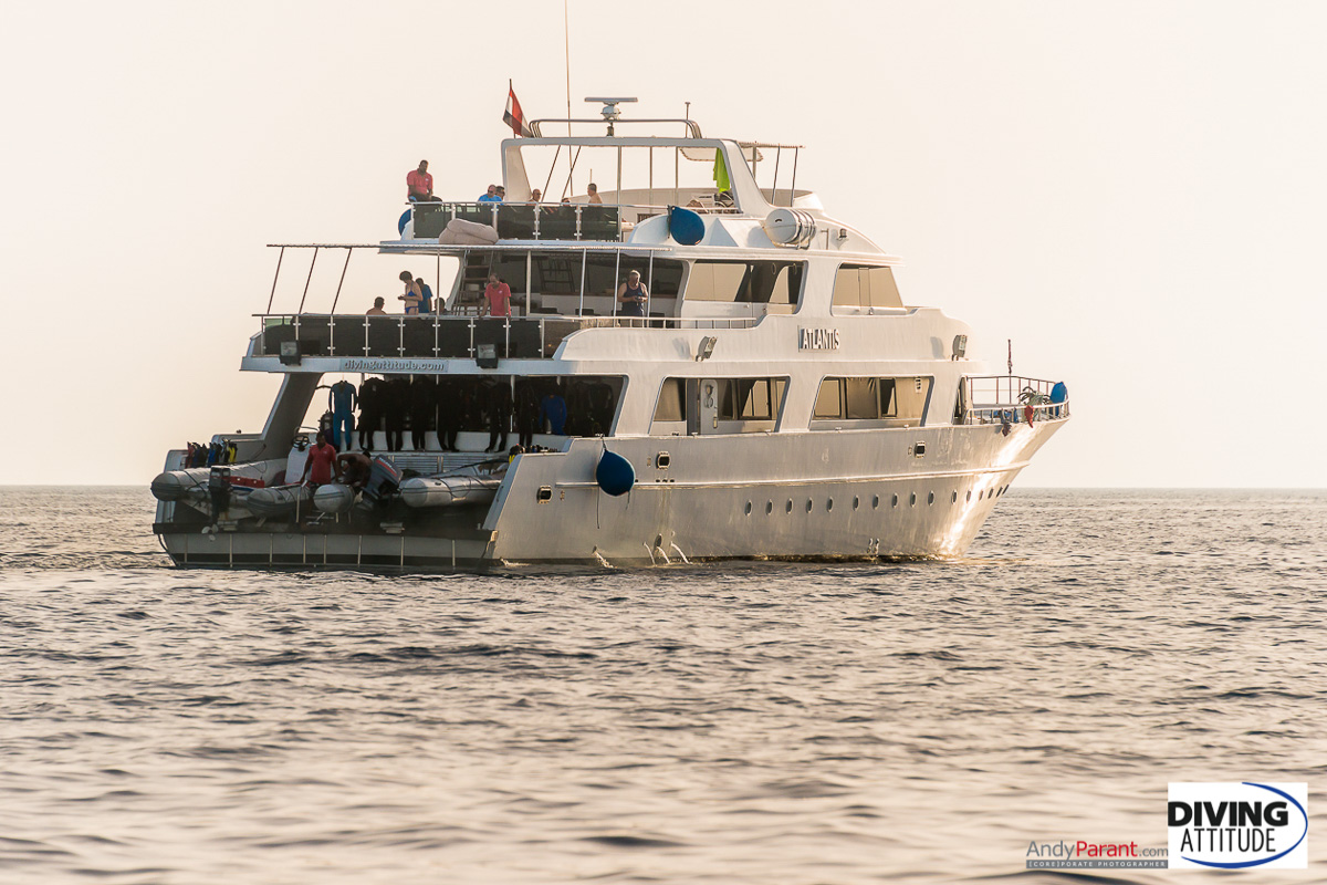 Atlantis Diving Attitude Liveaboard 15
