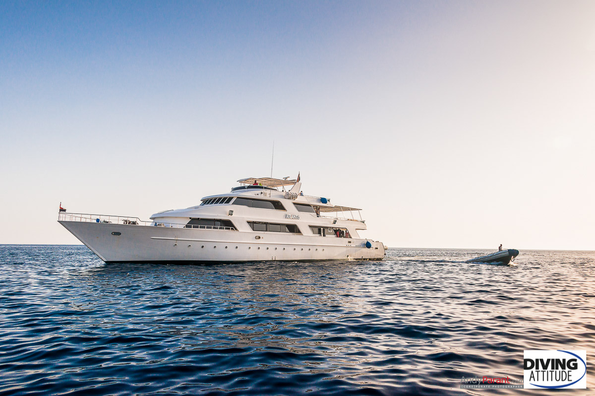 Atlantis Diving Attitude Liveaboard 16