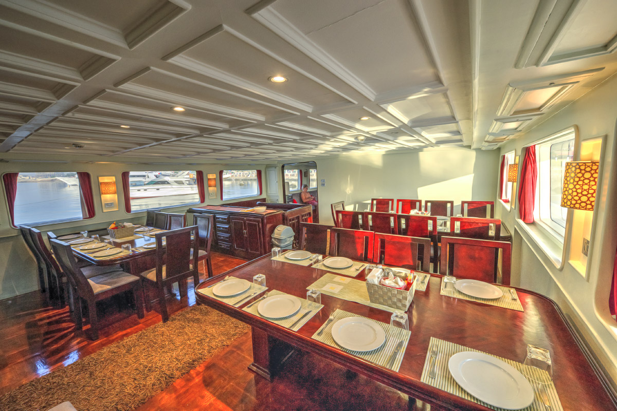 Atlantis Diving Attitude Liveaboard 5