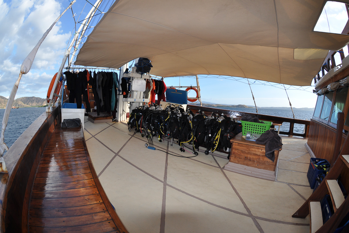 Aurora Liveaboard Indonesia 13